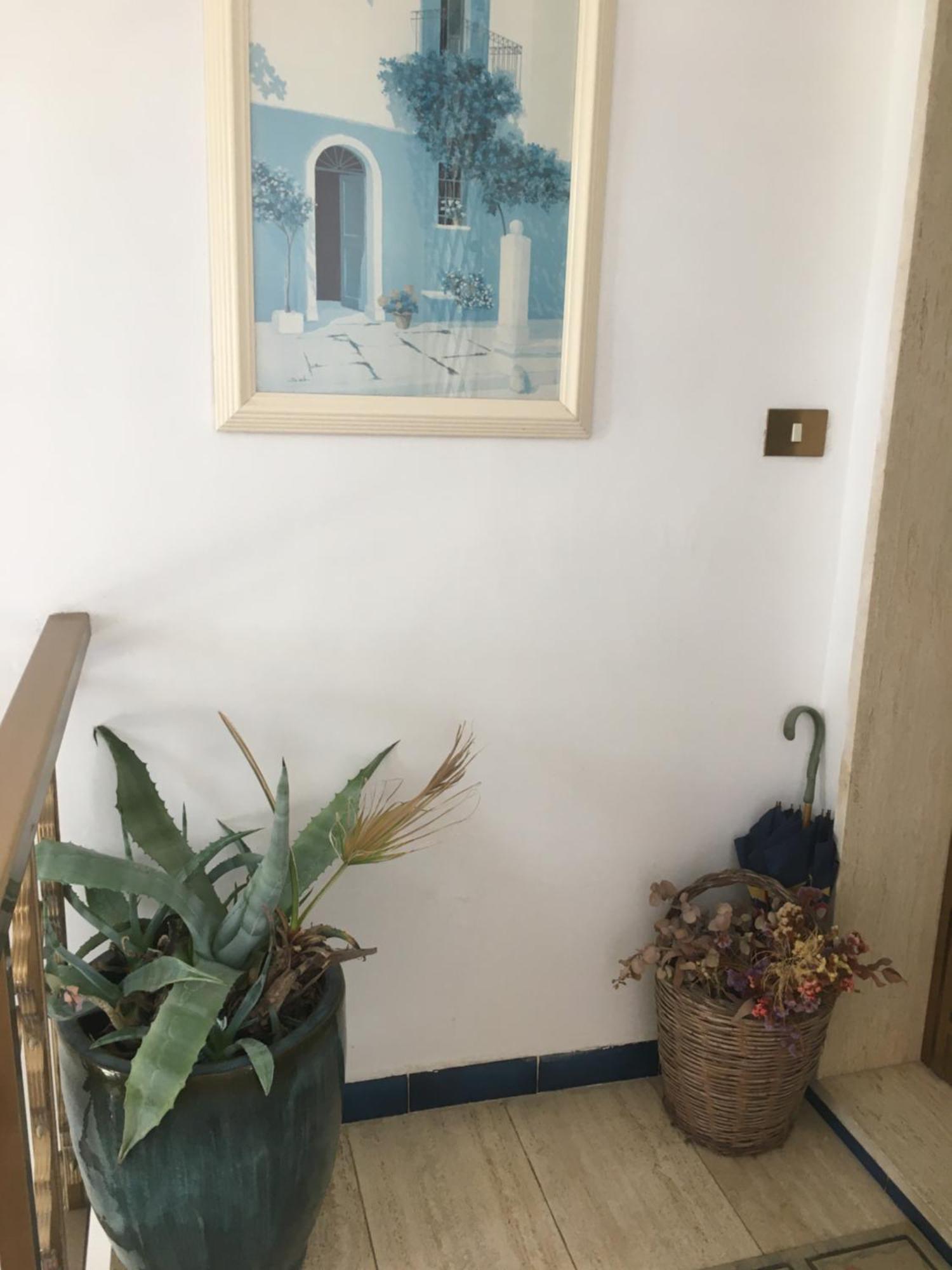 Delia Apartment Porto Cesareo Exterior photo